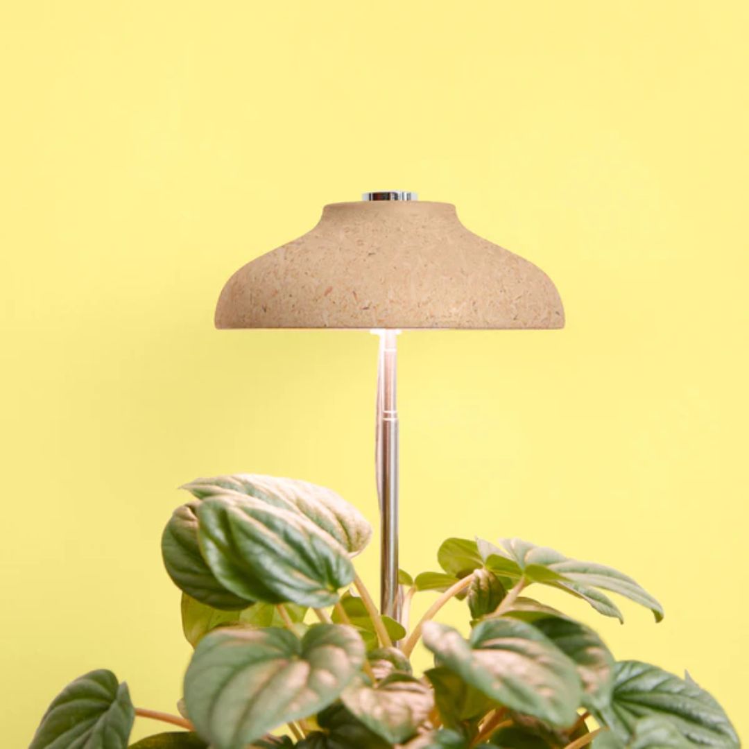 Instant Sun Houseplant Grow Lamp – We The Wild
